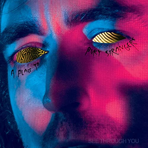 A Place To Bury Strangers See Through You - Vinyl-Classic Vinyl Record
