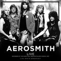Aerosmith Live At The Music Hall Boston 1978 - Vinyl-Classic Vinyl Record
