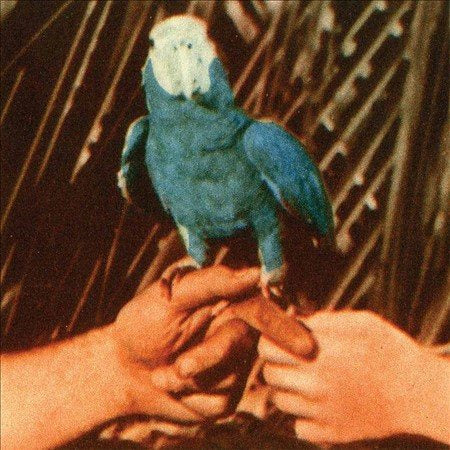 Andrew Bird ARE YOU SERIOUS (LP) - Vinyl-Classic Vinyl Record