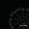 BIGWIG STAY ASLEEP - Vinyl-Classic Vinyl Record