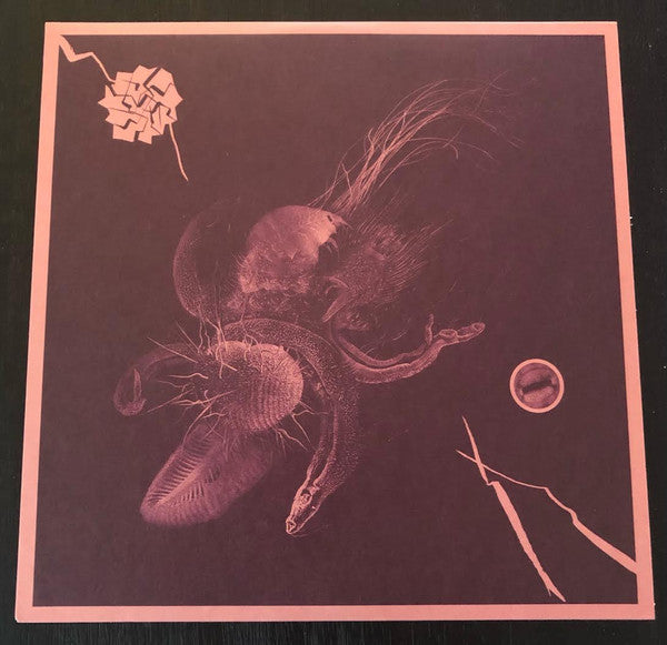 Aaron Turner & Jon Mueller - Now That You've Found It | Mint (M) Mint (M)-Classic Vinyl Record