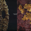 Waves | Mint (M) Mint (M)--Classic Vinyl Record