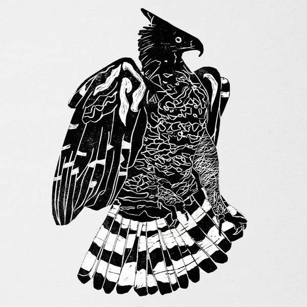 ALPHA STEPPA & NAI-JAH - Crowned Eagle [2LP] |--Classic Vinyl Record