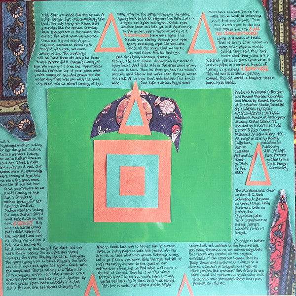 Animal Collective - Isn't It Now? (Indie Excl Orange Vinyl 2LP) | Mint (M) Mint (M)-Classic Vinyl Record