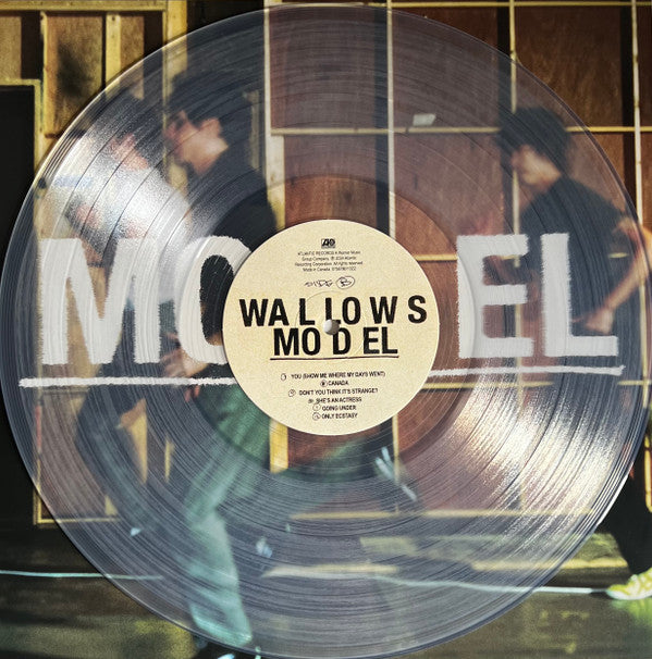 Wallows - Model (CLEAR VINYL) | Mint (M) Mint (M)-Classic Vinyl Record