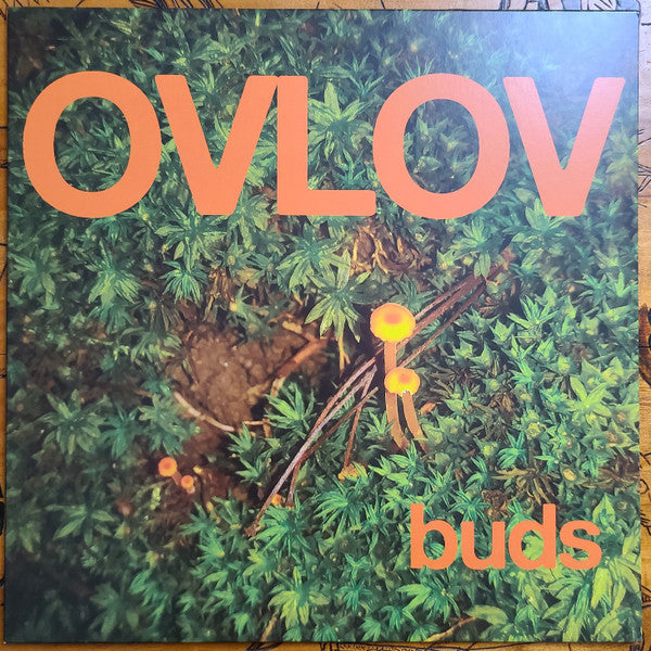 Buds (ORANGE VINYL) | Mint (M) Mint (M)-Classic Vinyl Record