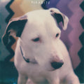 Fleabite - NVM (Vinyl) |-Classic Vinyl Record