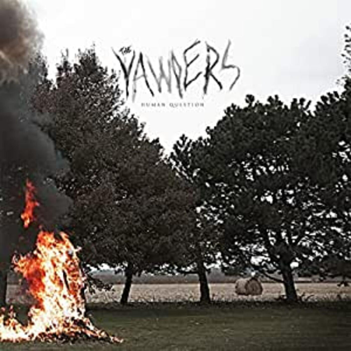 Yawpers - Human Question (VINYL) | Mint (M) Mint (M)-Classic Vinyl Record