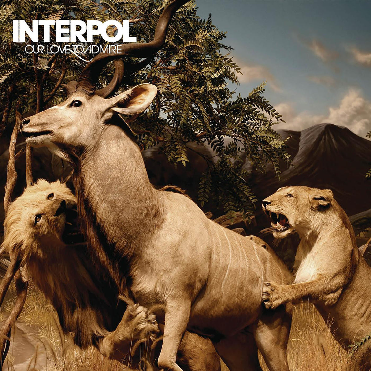Interpol - Our Love To Admire (CD) |-Classic Vinyl Record