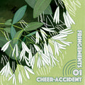 Cheer-Accident - Fringements One (CD) |-Classic Vinyl Record