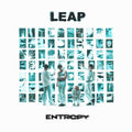 Leap - (PRESALE 7/17/26) Entropy (CD) | Mint (M) Mint (M)-Classic Vinyl Record