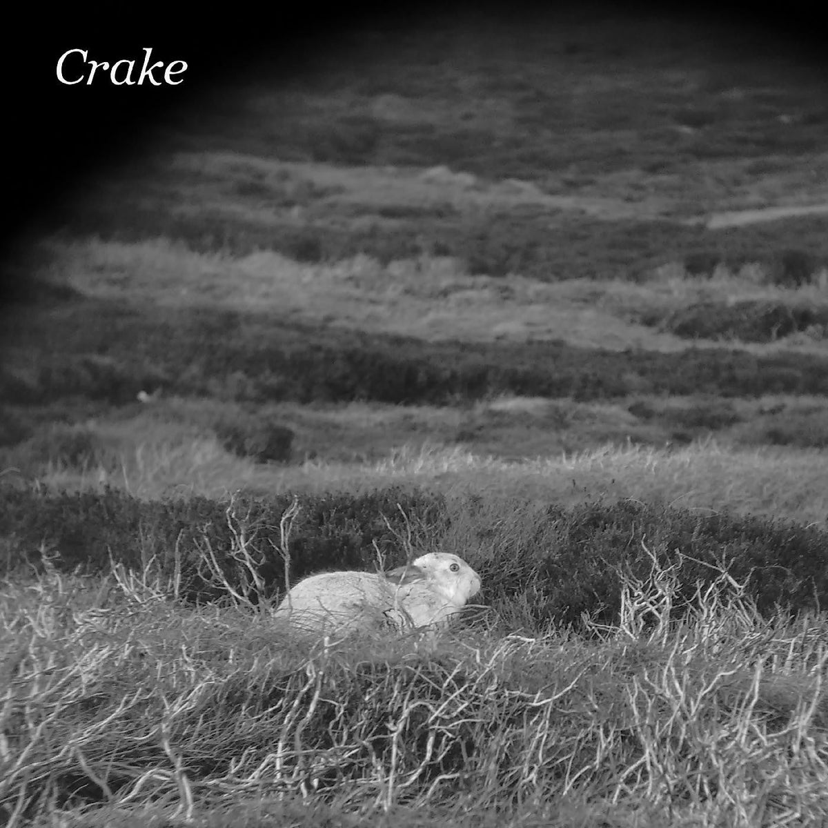 Crake - Enough Salt (For All Dogs) b/w Gef |-Classic Vinyl Record