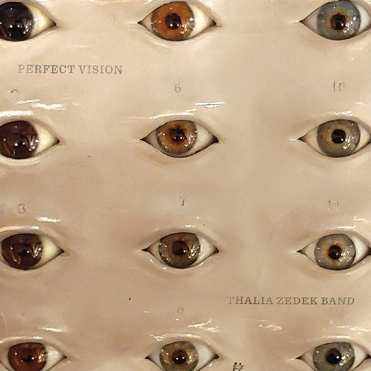 Zedek, Thalia Band - Perfect Vision (CD) |-Classic Vinyl Record