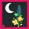 Summer Salt - (PRE-ORDER 11/7/25) Reside (VINYL) | Mint (M) Mint (M)-Classic Vinyl Record
