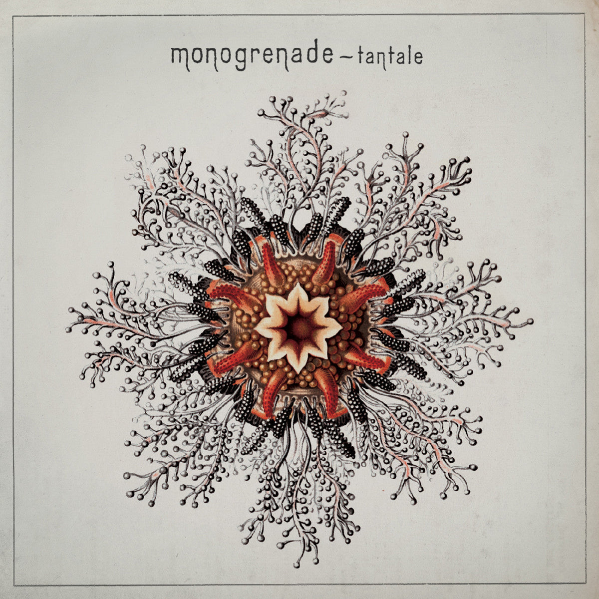 Monogrenade - Tantale (CD) |-Classic Vinyl Record