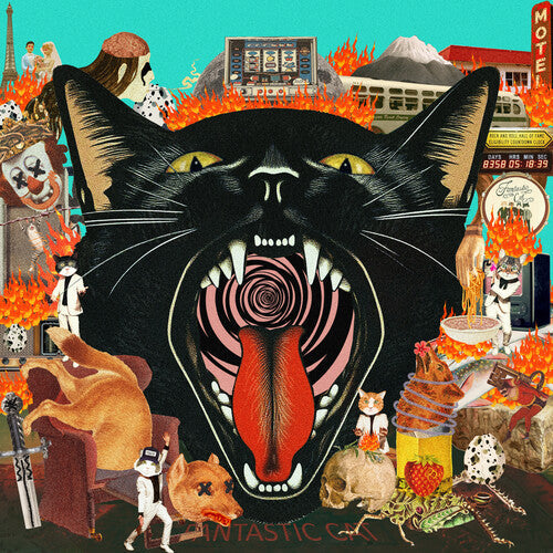 Fantastic Cat - Cat Out Of Hell (VINYL) |-Classic Vinyl Record