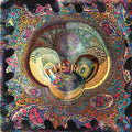 Vinyl Williams - Into (CD) |-Classic Vinyl Record