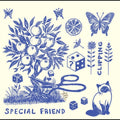 Special Friend - (PRESALE 8/14/26) Clipping (VINYL LP SKEPWAX LP-SKEP-041 2026) | NEW Mint (M) Mint (M)-Classic Vinyl Record