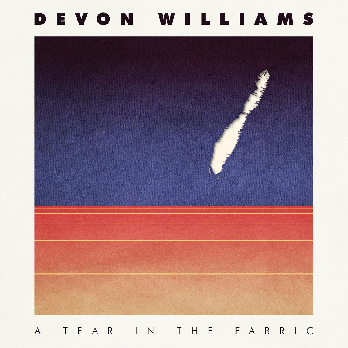 Williams, Devon - A Tear In The Fabric |-Classic Vinyl Record