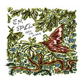 Em Spel - Bird or Snake (VINYL) | Mint (M) Mint (M)-Classic Vinyl Record