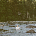 Chase, Joh - SOLO (CD) |-Classic Vinyl Record