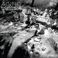 Vítková, Lucie & James Ilgenfritz - Aging (CD) |-Classic Vinyl Record