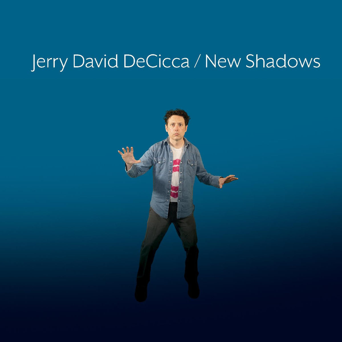 DeCicca, Jerry David - New Shadows |-Classic Vinyl Record