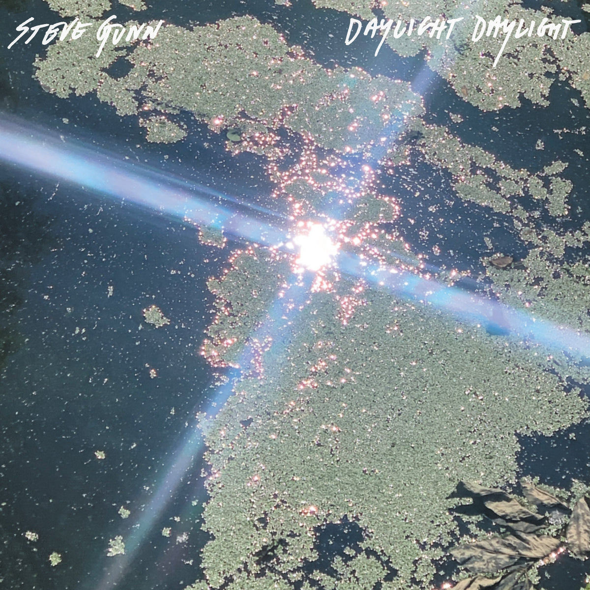 Steve Gunn - Daylight Daylight (VINYL) | Mint (M) Mint (M)-Classic Vinyl Record