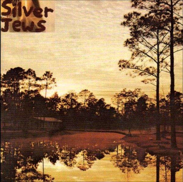 Silver Jews - Starlite Walker (VINYL) | Mint (M) Mint (M)-Classic Vinyl Record