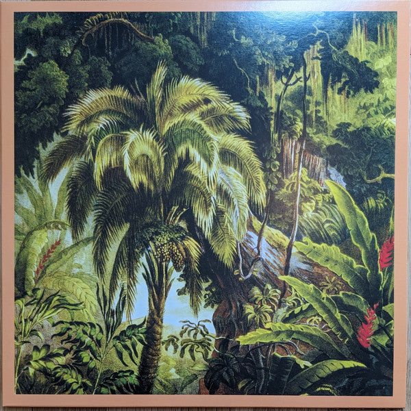 La Forêt | Mint (M) Mint (M)-Classic Vinyl Record