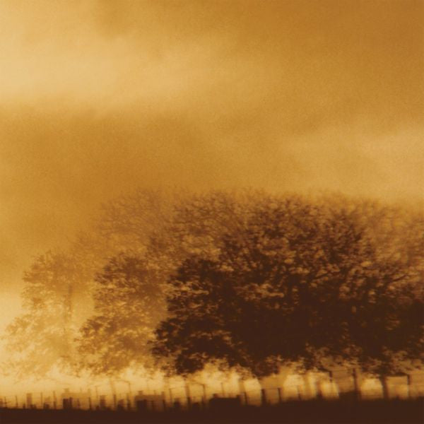 Infinite Light Ltd. - Infinite Light Ltd. (CD) | Mint (M) Mint (M)-Classic Vinyl Record