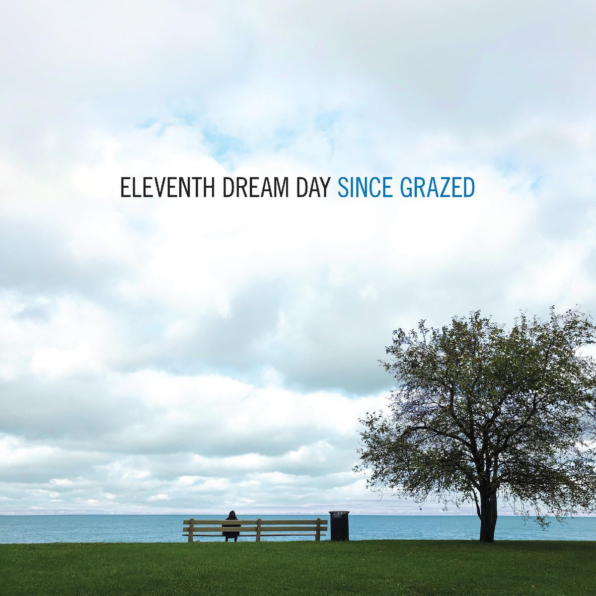 Eleventh Dream Day - Since Grazed |-Classic Vinyl Record
