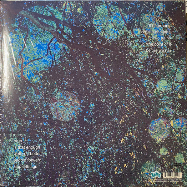 Yo La Tengo - Fade (VINYL) | Mint (M) Mint (M)-Classic Vinyl Record