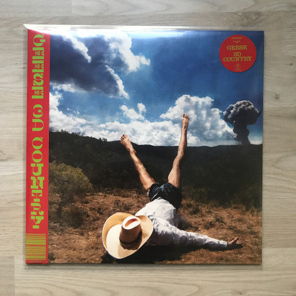 Geese (11) - 3D Country (VINYL) |-Classic Vinyl Record