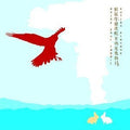 Sufjan Stevens - Enjoy Your Rabbit (2xVINYL) | Mint (M) Mint (M)-Classic Vinyl Record