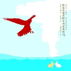 Sufjan Stevens - Enjoy Your Rabbit (2xVINYL) | Mint (M) Mint (M)-Classic Vinyl Record