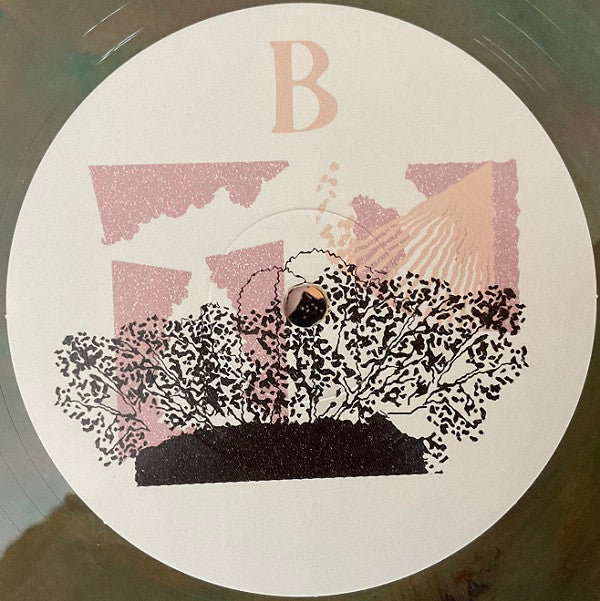 Land Of Talk - Performances | Mint (M) Mint (M)-Classic Vinyl Record