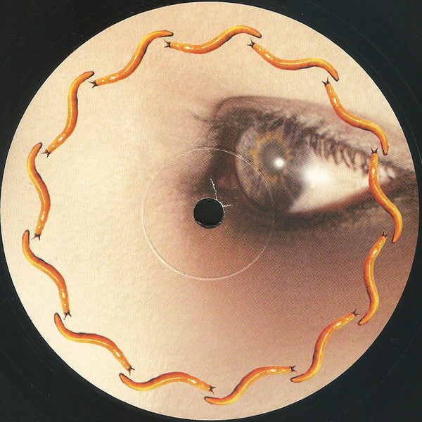 A Perfect Circle - Thirteenth Step | Mint (M) Mint (M)-Classic Vinyl Record