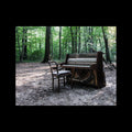 The Eye Of Time - Acoustic II | Mint (M) Mint (M)-Classic Vinyl Record