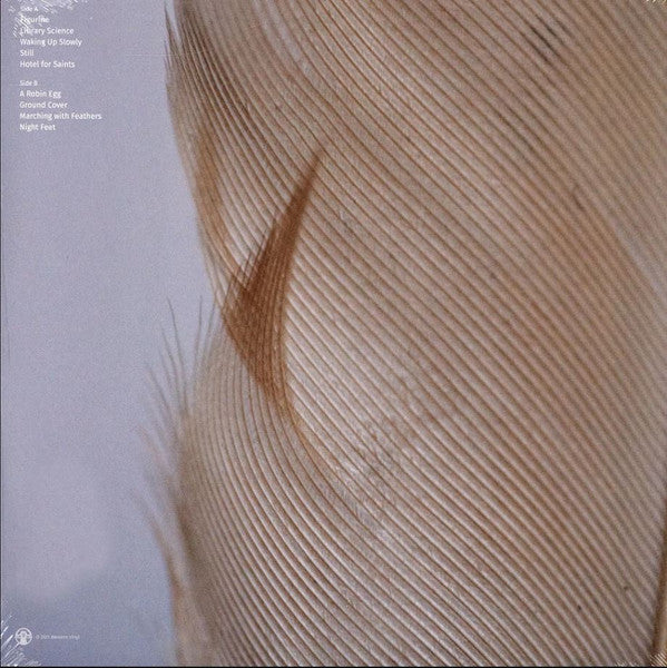 Rob Burger - Marching With Feathers | Mint (M) Mint (M)-Classic Vinyl Record