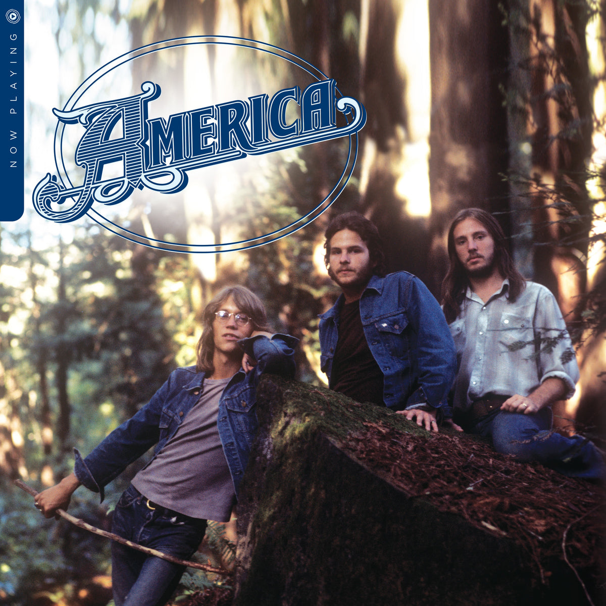 America - Now Playing | Mint (M) Mint (M)-Classic Vinyl Record