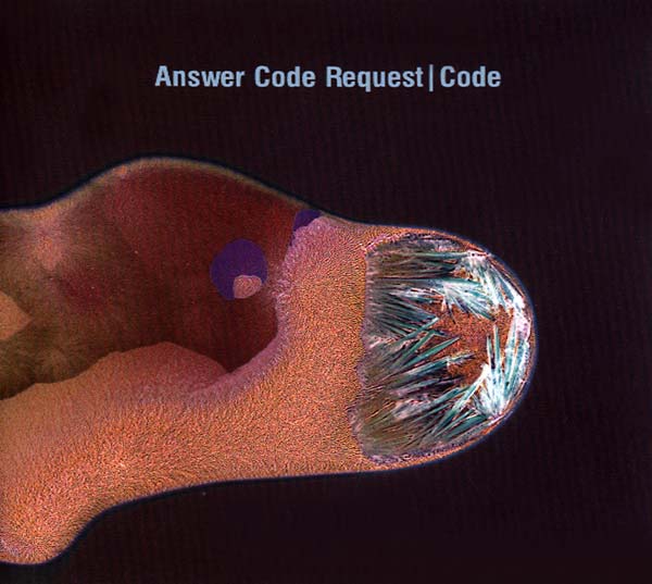 ANSWER CODE REQUEST - Code (CD Ostgut Ton OSTGUTCD31) |--Classic Vinyl Record