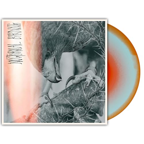 Author & Punisher - (PRE-ORDER 10/3/25) Nocturnal Birding (VINYL) | Mint (M) Mint (M)-Classic Vinyl Record