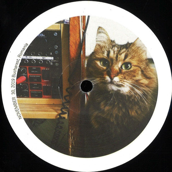Average Joe (8) - Cool Cat EP | Mint (M) Generic-Classic Vinyl Record