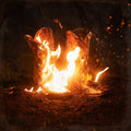 Ben Fuller Walk Through Fire (180G Vinyl) [2LP] - Vinyl-Classic Vinyl Record