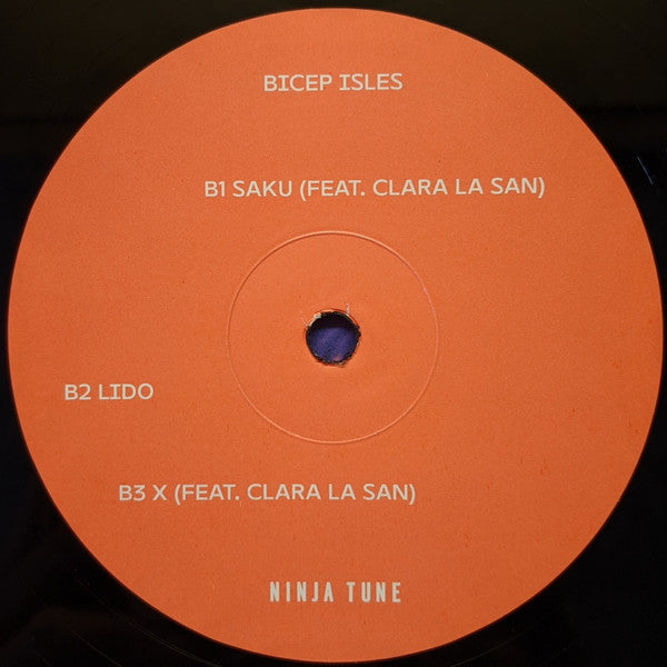 Bicep - Isles (2x Vinyl) | Mint (M) Mint (M)-Classic Vinyl Record