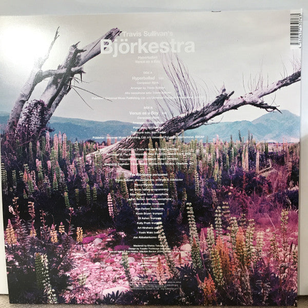 Bjorkestra - Hyperballad | Mint (M) Mint (M)-Classic Vinyl Record
