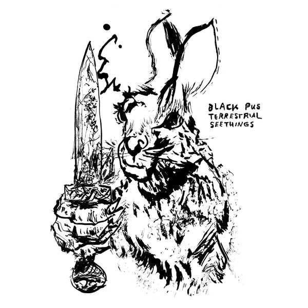 Black Pus - Terrestrial Seethings | Mint (M) Mint (M)-Classic Vinyl Record