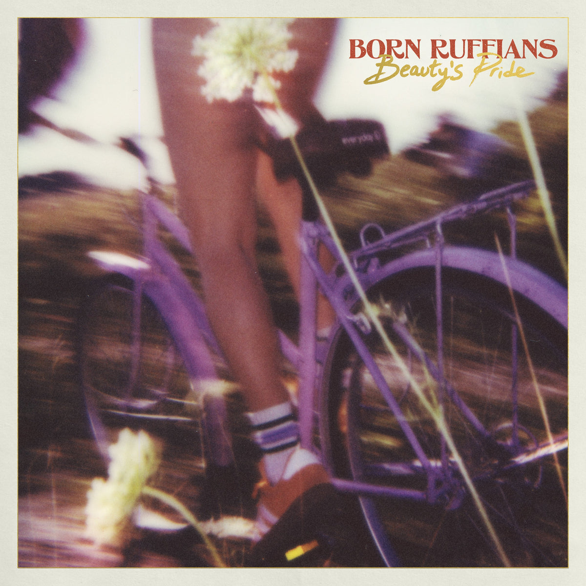 Born Ruffians - Beauty'S Pride (CD) | Mint (M) Mint (M)-Classic Vinyl Record