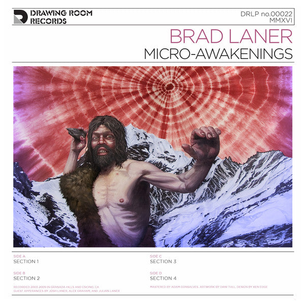 Brad Laner - Micro-Awakenings | Mint (M) Mint (M)-Classic Vinyl Record